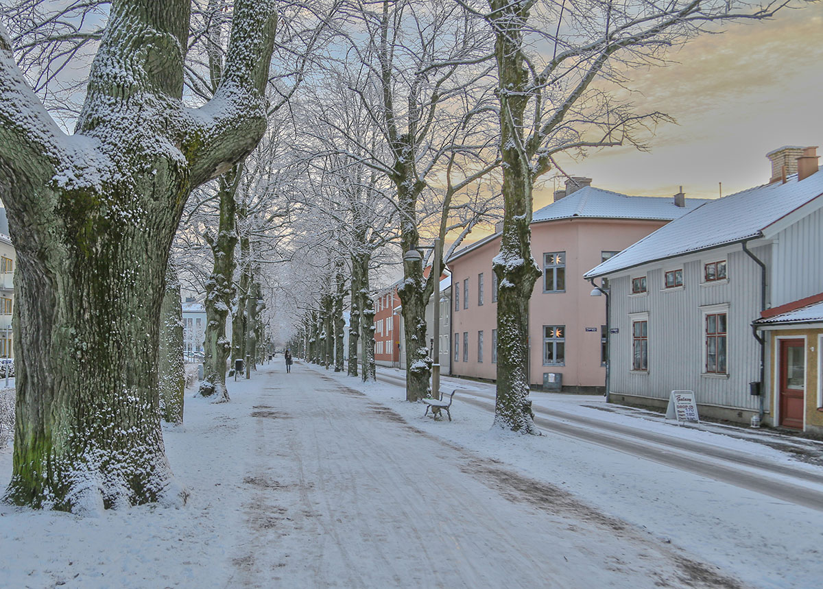 Miljöbild från Allén i Alingsås